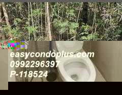 ขายที่ดินพร้อมบ้าน 1 หลัง 320 ไร่ ถ.ตาก-สุโขทัย (ทล.หมายเลข 12) ต.หนองหญ้าปล้อง อ.บ้านด่านลานหอย สุโขทัย ปลูกไม้ยูคา ใกล้รร.หนองหญ้าปล้อง       -202508071407461754550466937.jpg