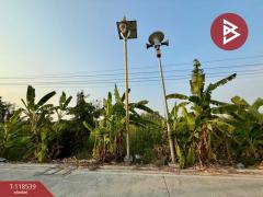  ขายที่ดิน เนื้อที่ 1 งาน 78.5 ตร.วา บางพลี สมุทรปราการ-202508071459181754553558864.jpg