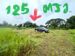 ขายที่ดิน 125 ตรว. ตำบลสำราญราษฎร์ อำเภอดอยสะเก็ด จังหวัดเชียงใหม่ เดินทางสะดวก ใกล้แหล่งชุมชนและสถานที่สำคัญ-202508071537501754555870248.jpg