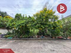 ขายที่ดิน-เนื้อที่-93-ตร.วา-บ้านกลาง-ป