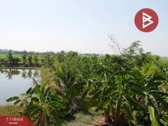 ขาย/เช่าบ้านเดี่ยวพร้อมไม้สวน เนื้อที่ 4 ไร่ บางน้ำเปรี้ยว ฉะเชิงเทรา-202508071702391754560959095.jpg