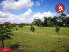 ขายที่ดิน เนื้อที่ 36 ไร่ 2 งาน 96 ตารางวา ห้วยสัก เชียงราย-202508071824121754565852437.jpg