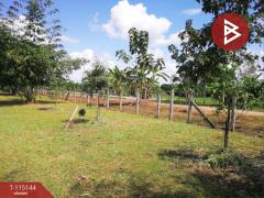 ขายที่ดิน เนื้อที่ 36 ไร่ 2 งาน 96 ตารางวา ห้วยสัก เชียงราย-202508071824121754565852976.jpg