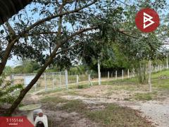 ขายที่ดิน เนื้อที่ 36 ไร่ 2 งาน 96 ตารางวา ห้วยสัก เชียงราย-202508071824131754565853508.jpg