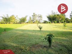 ขายที่ดิน เนื้อที่ 36 ไร่ 2 งาน 96 ตารางวา ห้วยสัก เชียงราย-202508071824141754565854579.jpg