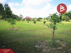 ขายที่ดิน เนื้อที่ 36 ไร่ 2 งาน 96 ตารางวา ห้วยสัก เชียงราย-202508071824151754565855112.jpg