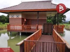 ขายที่ดิน เนื้อที่ 36 ไร่ 2 งาน 96 ตารางวา ห้วยสัก เชียงราย-202508071824161754565856177.jpg