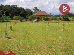 ขายที่ดิน เนื้อที่ 36 ไร่ 2 งาน 96 ตารางวา ห้วยสัก เชียงราย-202508071824161754565856710.jpg