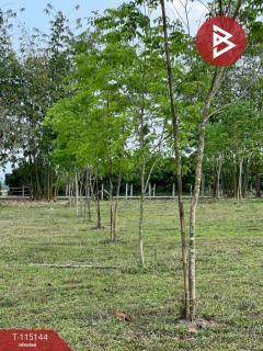 ขายที่ดิน เนื้อที่ 36 ไร่ 2 งาน 96 ตารางวา ห้วยสัก เชียงราย-202508071824181754565858326.jpg