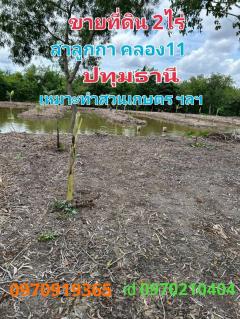 ขาย ที่ดิน ลำลูกกา 2 ไร่ เหมาะทำสวนเกษตร คลอง11ปทุมธานี