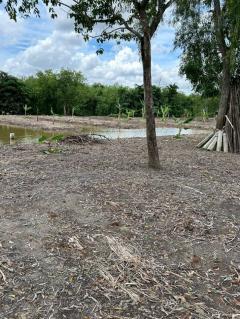 ขาย ที่ดิน ลำลูกกา 2 ไร่ เหมาะทำสวนเกษตร คลอง11ปทุมธานี-202508072059461754575186798.jpg