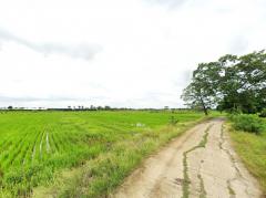 ขาย ที่ดิน เมืองลพบุรี ชุมชนบ้านนิคมหมู่ 8 สามัคคี 17 ไร่ วิวภูเขา บรรยากาศดี เหมาะทำจัดสรร-202508072231481754580708441.jpg