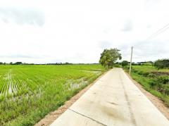 ขาย ที่ดิน เมืองลพบุรี ชุมชนบ้านนิคมหมู่ 8 สามัคคี 17 ไร่ วิวภูเขา บรรยากาศดี เหมาะทำจัดสรร-202508072231501754580710418.jpg