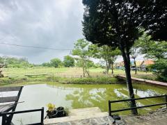 ขายถูก! ที่ดินพร้อมบ้านเรือนไทย หลังใหญ่   เนื้อที่รวม 7-3-70 ไร่ ต.หมอนนาง อ.พนัสนิคม จ.ชลบุรี -202508080848151754617695971.jpg