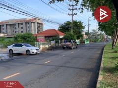 ขายที่ดิน เนื้อที่ 3 ไร่ 1 งาน 54 ตร.วา ในเมือง ร้อยเอ็ด-202508080928161754620096134.jpg
