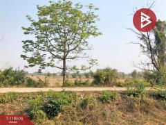 ขายที่ดิน เนื้อที่ 3 ไร่ 66.7 ตร.วา นาดี อุดรธานี-202508080939371754620777817.jpg