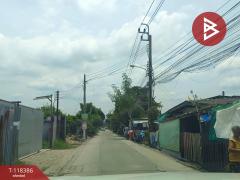 ขายที่ดิน เนื้อที่ 50 ตร.วา บางพลี สมุทรปราการ-202508081022021754623322383.jpg