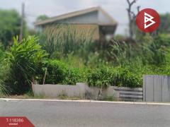 ขายที่ดิน เนื้อที่ 50 ตร.วา บางพลี สมุทรปราการ-202508081022021754623322910.jpg