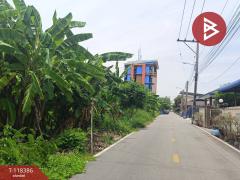 ขายที่ดิน เนื้อที่ 50 ตร.วา บางพลี สมุทรปราการ-202508081022041754623324490.jpg