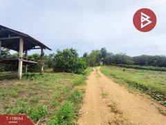 ขายที่ดิน เนื้อที่ 12 ไร่ 1 งาน 55 ตร.วา ท่าปลา อุตรดิตถ์-202508081134101754627650192.jpg