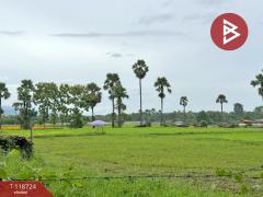 ขายที่ดิน เนื้อที่ 1 ไร่ 2 งาน 94 ตร.วา จอมทอง เชียงใหม่-202508081204481754629488793.jpg