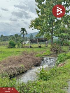 ขายที่ดิน เนื้อที่ 1 ไร่ 2 งาน 94 ตร.วา จอมทอง เชียงใหม่-202508081204491754629489336.jpg