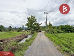 ขายที่ดิน เนื้อที่ 1 ไร่ 2 งาน 94 ตร.วา จอมทอง เชียงใหม่-202508081204501754629490417.jpg