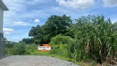 ขายที่ดิน 1 ไร่ ทำเลทอง ใกล้วัดไร่ขิง เพียงไร่ละ 4 ล้าน อำเภอสามพราณ นครปฐม#LB73 – 001071