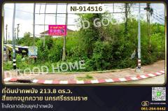NI-914516-ที่ดินปากพนัง-213.8-ตร.ว.-สี่แยกจมูก