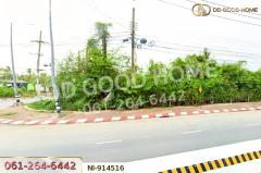 NI-914516 ที่ดินปากพนัง 213.8 ตร.ว. สี่แยกจมูกควาย นครศรีธรรมราช ใกล้ตลาดย้อนยุคปากพนัง‬-202508081429591754638199345.jpg
