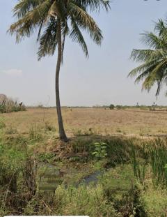 ขายที่ดิน​ อำเภอเมืองนครราชสีมาตำบลหนองกระทุ่ม ใกล้ถนนบายพาส 204-202508081508581754640538628.jpg