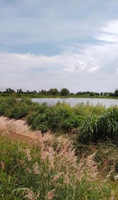 ขายที่ถมแล้ว ขายถูก ใกล้ถนนทางหลวง 3025 ( ท่าข้าม-สระสี่เหลี่ยม ) เนื้อที่  200  ตรว. ต.ท่าข้าม อ.พนัสนิคม จ.ชลบุรี-202508081526221754641582958.jpg