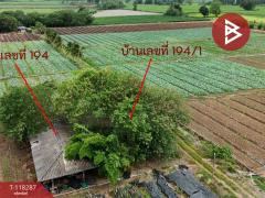 ขายที่ดิน เนื้อที่ 102 ไร่ 3 งาน 9 ตร.วา ปากช่อง นครราชสีมา-202508081559121754643552325.jpg
