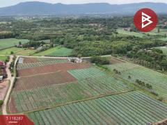 ขายที่ดิน เนื้อที่ 102 ไร่ 3 งาน 9 ตร.วา ปากช่อง นครราชสีมา-202508081559131754643553413.jpg