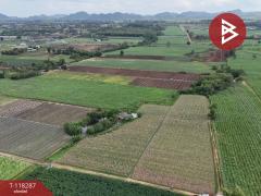 ขายที่ดิน เนื้อที่ 102 ไร่ 3 งาน 9 ตร.วา ปากช่อง นครราชสีมา-202508081559131754643553968.jpg