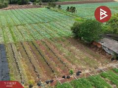 ขายที่ดิน เนื้อที่ 102 ไร่ 3 งาน 9 ตร.วา ปากช่อง นครราชสีมา-202508081559151754643555070.jpg