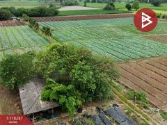 ขายที่ดิน เนื้อที่ 102 ไร่ 3 งาน 9 ตร.วา ปากช่อง นครราชสีมา-202508081559171754643557285.jpg