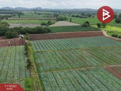ขายที่ดิน เนื้อที่ 102 ไร่ 3 งาน 9 ตร.วา ปากช่อง นครราชสีมา-202508081559171754643557830.jpg