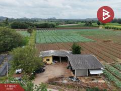 ขายที่ดิน เนื้อที่ 102 ไร่ 3 งาน 9 ตร.วา ปากช่อง นครราชสีมา-202508081559181754643558921.jpg