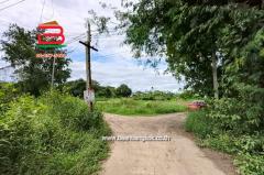 ที่ดินเปล่า เนื้อที่ 1-1-0 ไร่ ใกล้วัดกำแพงแก้ว ถ.สาย อย.4016 ต.มหาพราหมณ์ อ.บางบาล จ.อยุธยา-202508081618021754644682995.jpg