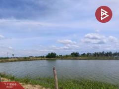 ขายที่ดิน เนื้อที่ 32 ไร่ 3 งาน 22 ตร.วา กำแพงแสน นครปฐม-202508081618431754644723588.jpg