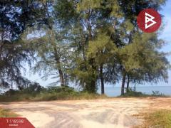 ขายที่ดิน-เนื้อที่-65-ไร่-แหลมกลัด-ตรา