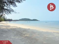 ขายที่ดิน เนื้อที่ 65 ไร่ แหลมกลัด ตราด-202508081636331754645793081.jpg