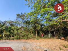 ขายที่ดิน-เนื้อที่-78-ตร.วา-บางเลน-นคร