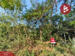 ขายที่ดิน เนื้อที่ 78 ตร.วา บางเลน นครปฐม-202508081702501754647370806.jpg