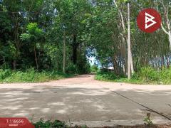 ขายที่ดิน เนื้อที่ 13 ไร่ 3 งาน 20.7 ตร.วา แกลง ระยอง-202508081712261754647946775.jpg