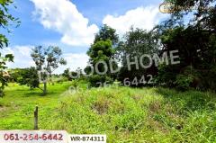 WR-874311 ที่ดินเมืองปราจีนบุรี 4 ไร่ ใกล้โรงพยาบาลค่ายจักรพงษ์-202508081712361754647956519.jpg
