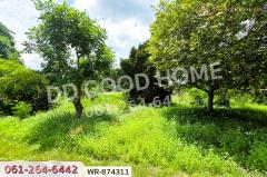 WR-874311 ที่ดินเมืองปราจีนบุรี 4 ไร่ ใกล้โรงพยาบาลค่ายจักรพงษ์-202508081712381754647958975.jpg