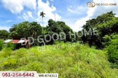 WR-874311 ที่ดินเมืองปราจีนบุรี 4 ไร่ ใกล้โรงพยาบาลค่ายจักรพงษ์-202508081712391754647959605.jpg
