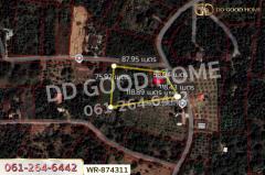 WR-874311 ที่ดินเมืองปราจีนบุรี 4 ไร่ ใกล้โรงพยาบาลค่ายจักรพงษ์-202508081712401754647960203.jpg